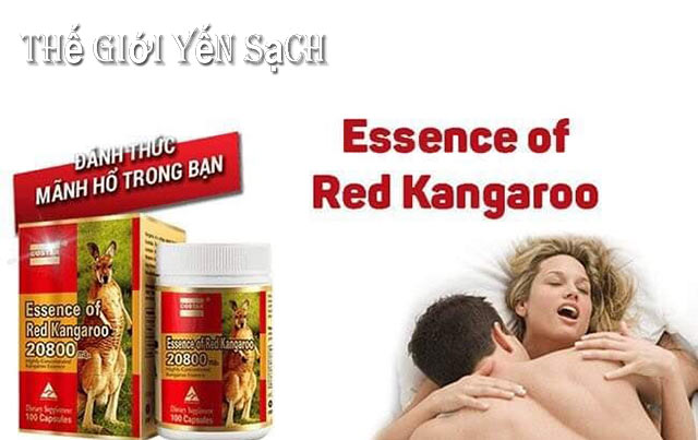 tang-sinh-ly-dan-ong-essence-of-red-kangaroo5