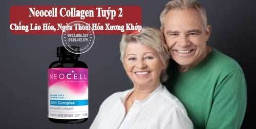 187-collagen-type-2 - -collagen-tuyp-2-khong-bien-tinh-cua-my9