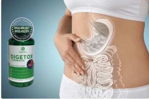 cach-dung-thuoc-felix-digetox-probiotic-hieu-qua-tu-chuyen-gia1