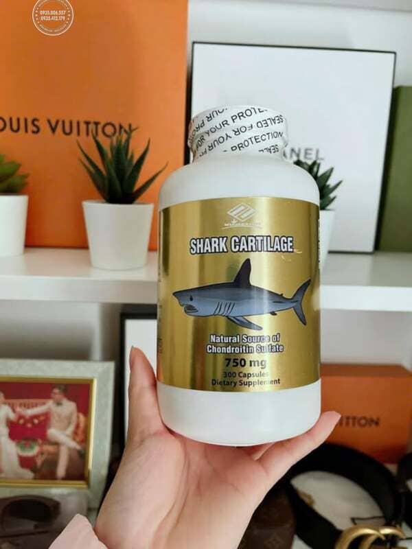 Shark Cartilage 750mg của Mỹ là gì?